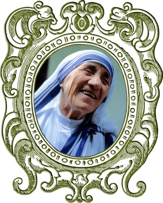 Imagen del Dia
