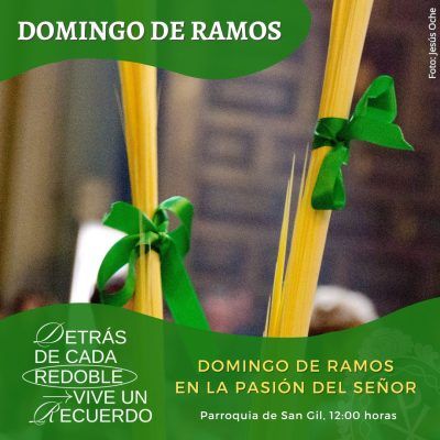 Domingo de Ramos en la Pasión del Señor