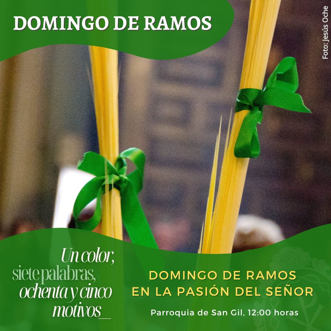Domingo de Ramos en la Pasión del Señor - Cofradía de las Siete Palabras